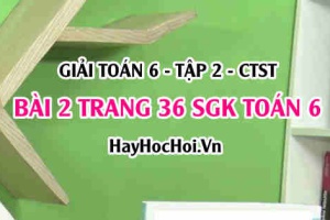 Giải bài 2 trang 36 Toán 6 Tập 2 SGK Chân trời sáng tạo